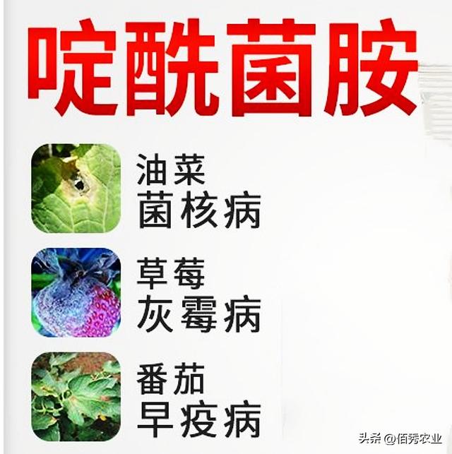 灰霉病用|些什么药。，灰霉病用什么药物疗效最好（“贵族”杀菌剂啶酰菌胺）