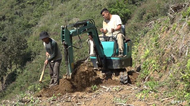黑心姜的功效与作用，白姜的功效与作用图片（金平：春耕正当时 种姜来致富）