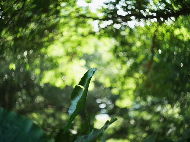 适合大学生读的书，白岩松极力推荐十本书（高考后读完这8本书）