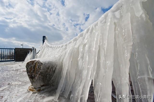 春打五九尾是指什么，二月倒春寒”能预兆