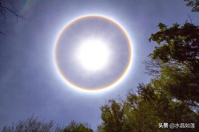 10种代表春天的动物，春天的动物有哪些（塞北动植物们话辛丑牛年时节）