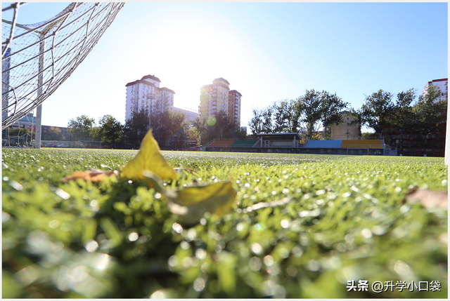 中央财经大学经济学院，中央财经大学经济学类（中央财经大学2023届保研数据出炉）