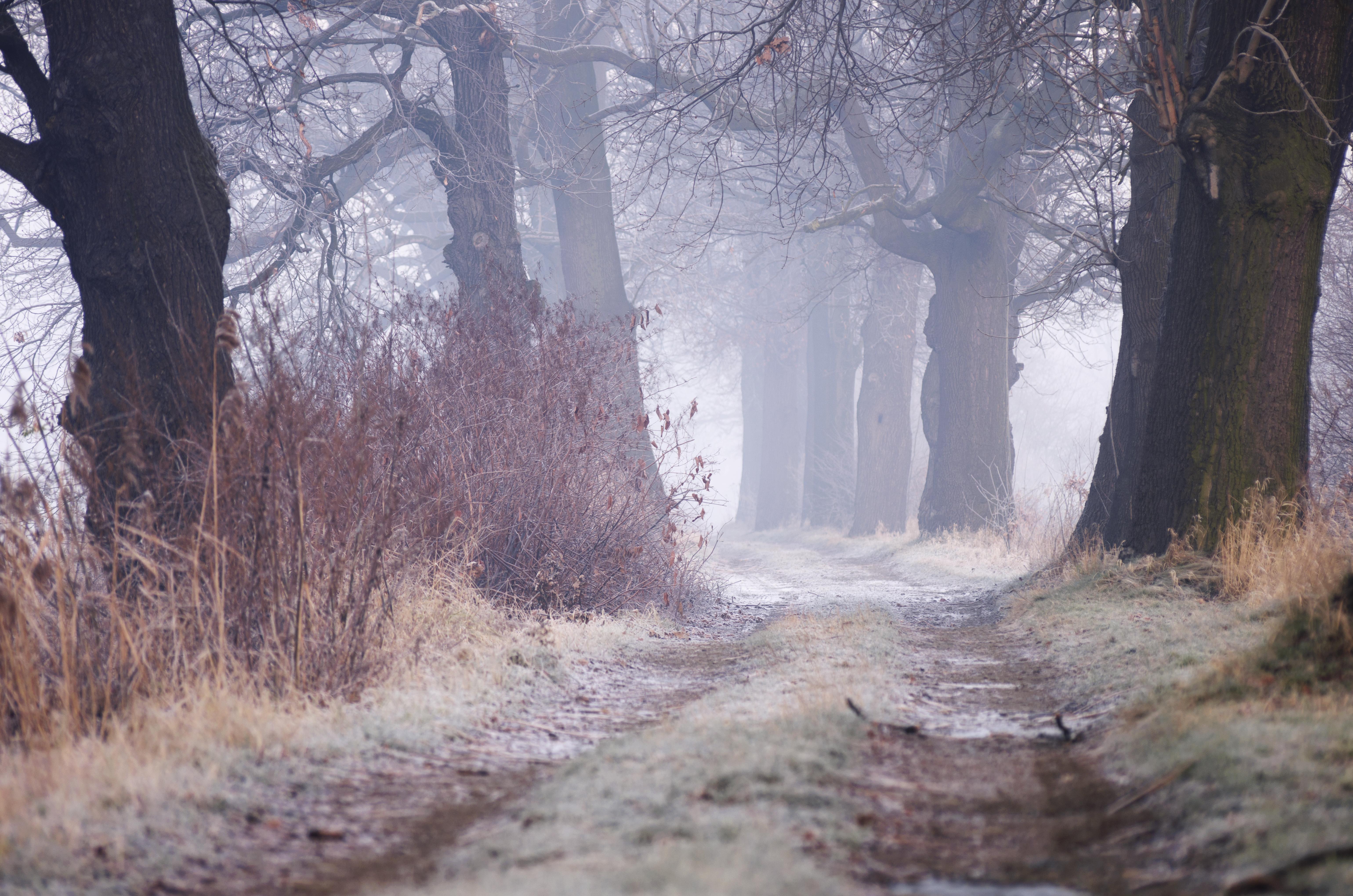 一,电脑桌面背景图,有没有那张让你心动呢?
