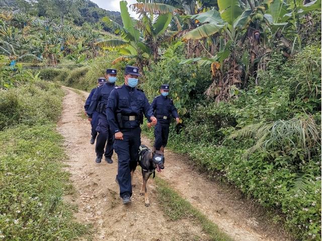 方腊活煮扈三娘，庞万春武力值（雾中蓝影行——穿梭于云海中的中越边境卫士）