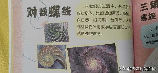 如何教给宝宝认识数字呢，怎样才能教会小孩认识数字（终于弄清数学启蒙才是当务之急）