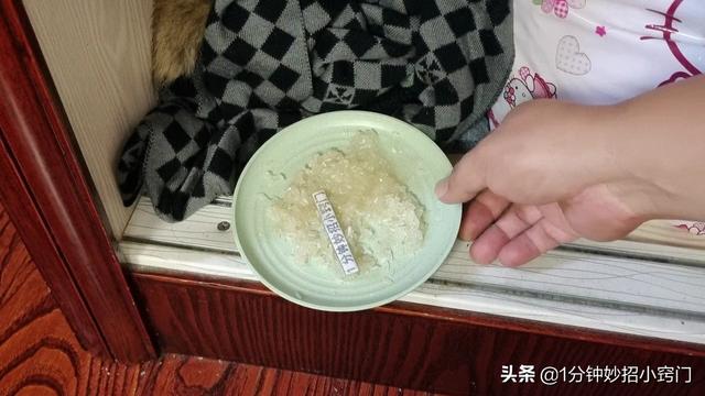 家里进老鼠了应该怎么办，家里进老鼠了怎么办（家里出现老鼠不要慌）