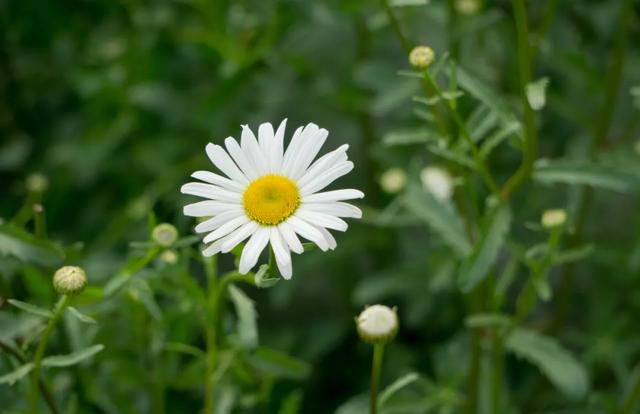 水枕的结构和功能,枕是什么结构(孩子打喷嚏、流鼻涕不一定是感冒) 水枕的结构和功能,枕是什么结构(孩子打喷嚏、流鼻涕不一定是感冒)