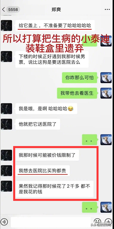 张恒曝郑爽代孕生了俩娃，素人爽和前夫开撕的瓜