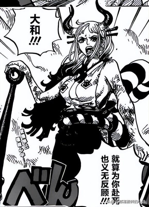 海贼王大和是谁，海贼王大和是谁的后官（《海贼王》大和是男是女）