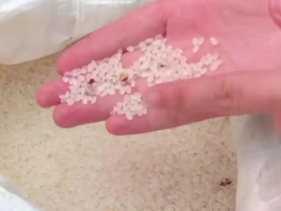 大米生虫子处理小诀窍，掌握这4个小妙招很必要