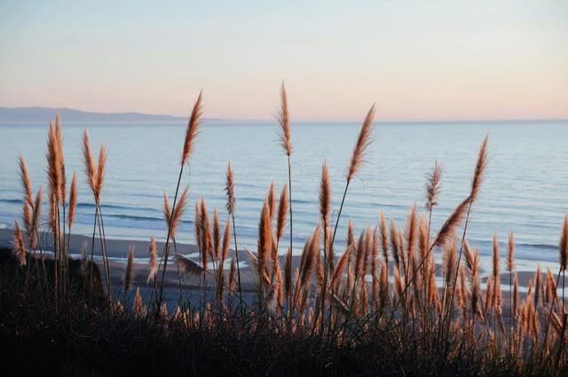 大海，微信头像，大海（美图头像壁纸，壮美的大海）