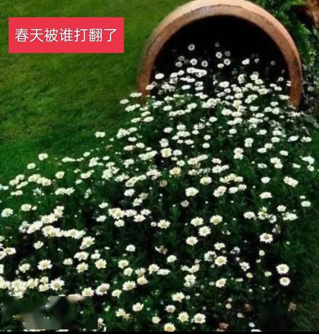 夏天景物描写片段，夏天景物描写片段150字（带你走进如画的风景里）
