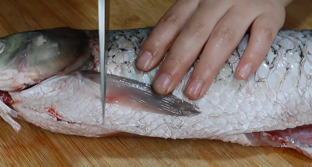 草鱼怎么做好吃，家常大草鱼怎么做好吃又简单（爱吃草鱼要收藏了）