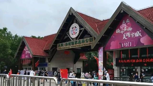 上海海湾国家森林公园游玩攻略