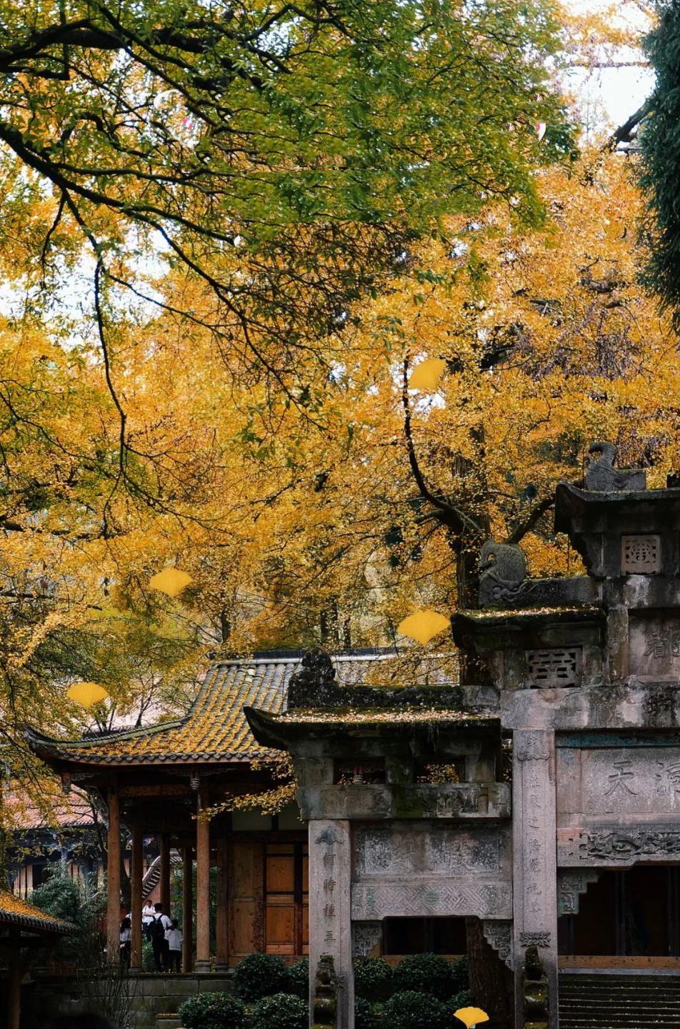 5h左右地点:灵岩山地址:四川省成都市都江堰市木渎镇大沟边村门票