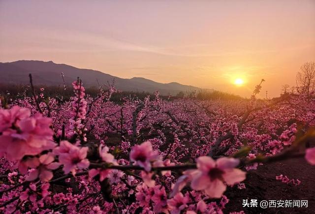 春季旅游十大攻略，10条乡村旅游精品线路任您选