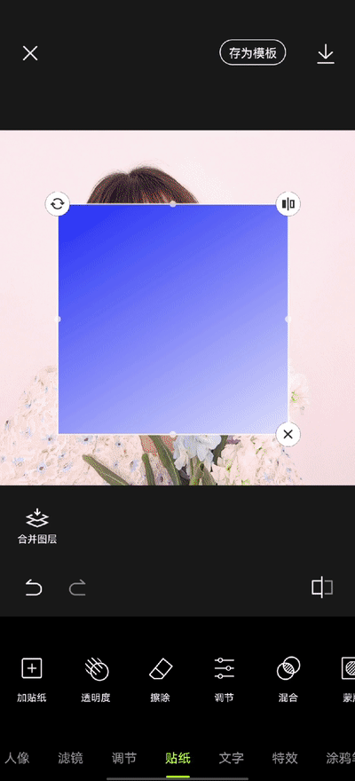 距离并不是问题，微信头像，距离并不是问题，相向而行才是关键。（花卉头像自拍！好看不露脸）