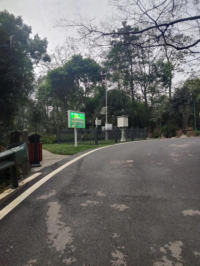 歌乐山森林公园，重庆旅游必去景点（歌乐山国家森林公园）