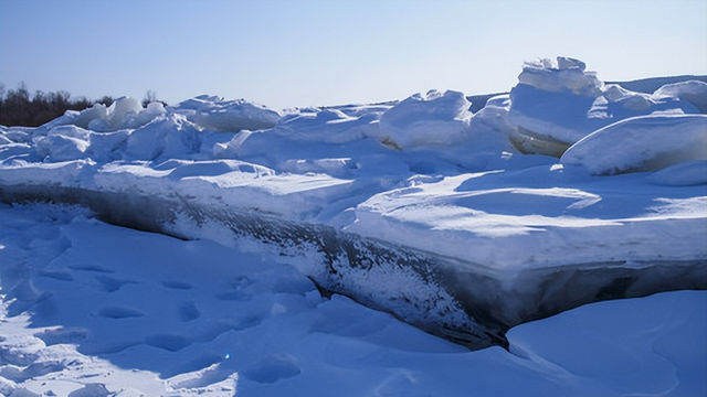 狮子是什么王?森林之王，狮子是什么王（狮子如果碰见了老虎）