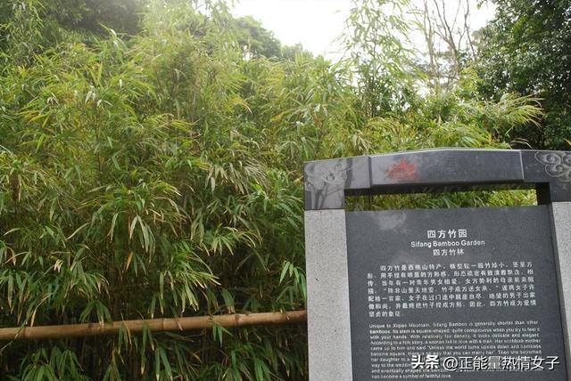 韶关丹霞山旅游攻略，韶关丹霞山旅游攻略 丹霞山好玩吗（黄飞鸿的故乡西樵山一日游游玩攻略）