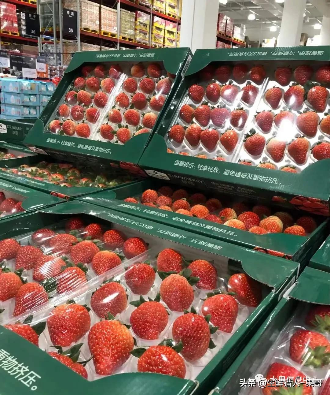 浆果是什么，浆果是什么软件（不同水果的不同包装<浆果篇>）