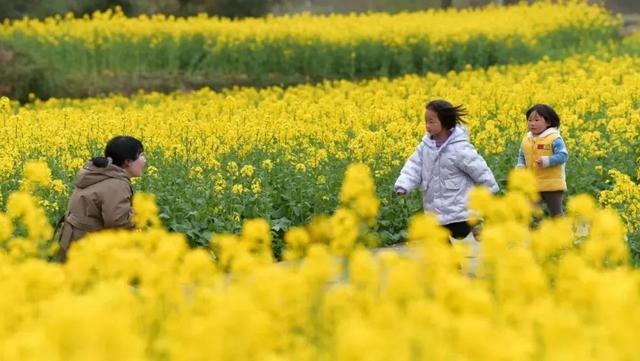 汉中旅游景点排名推荐，汉中旅游景点大全排名榜（在汉中一年四季可以这样玩 →）