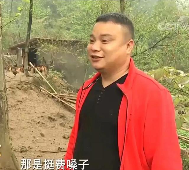 梦见好多鸡蛋捡鸡蛋是什么意思，梦见捡好多鸡蛋什么意思（湖南男子承包1200亩荒山）