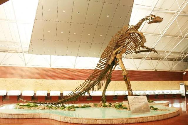 诸城恐龙博物馆，中国第一个县市级恐龙博物馆是哪一个（诸城恐龙文化之诸城市恐龙博物馆）