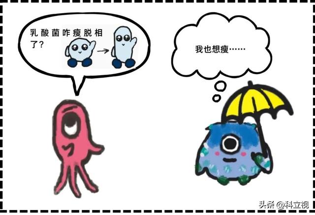 乳酸菌的作用与功效，益生菌和乳酸菌的作用与功效（乳酸菌的好处居然那么多）