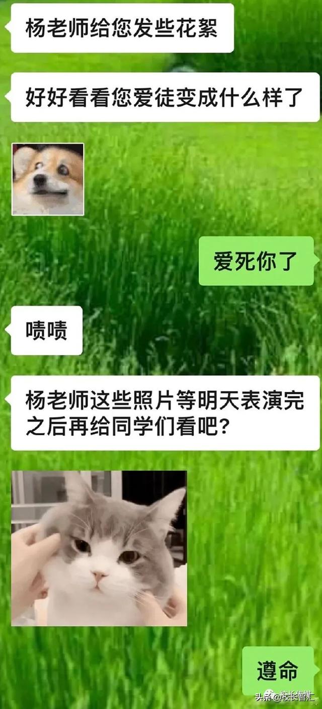 专心致志的故事，专心致志的故事视频（特级教师杨卫平的成长故事）