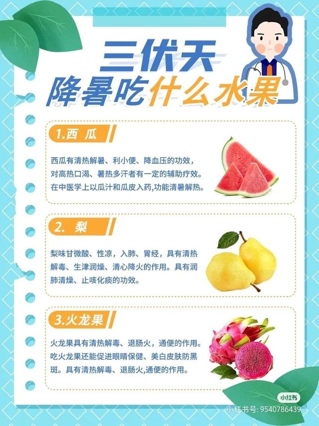 三伏天2022时间表艾灸，2022年三伏天艾灸时间表（夏日解暑降温超有用的食物清单请收好）