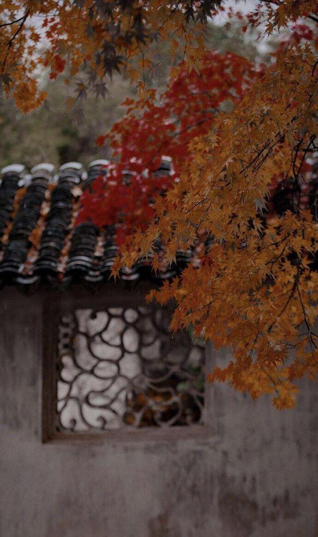 关于秋天的散文，关于秋天的散文精选（是一个适合回忆的季节）