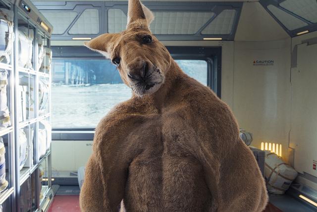 九部笑得肚子疼的电影，10部笑到肚子疼的电影（本以为看完会笑到肚子疼）