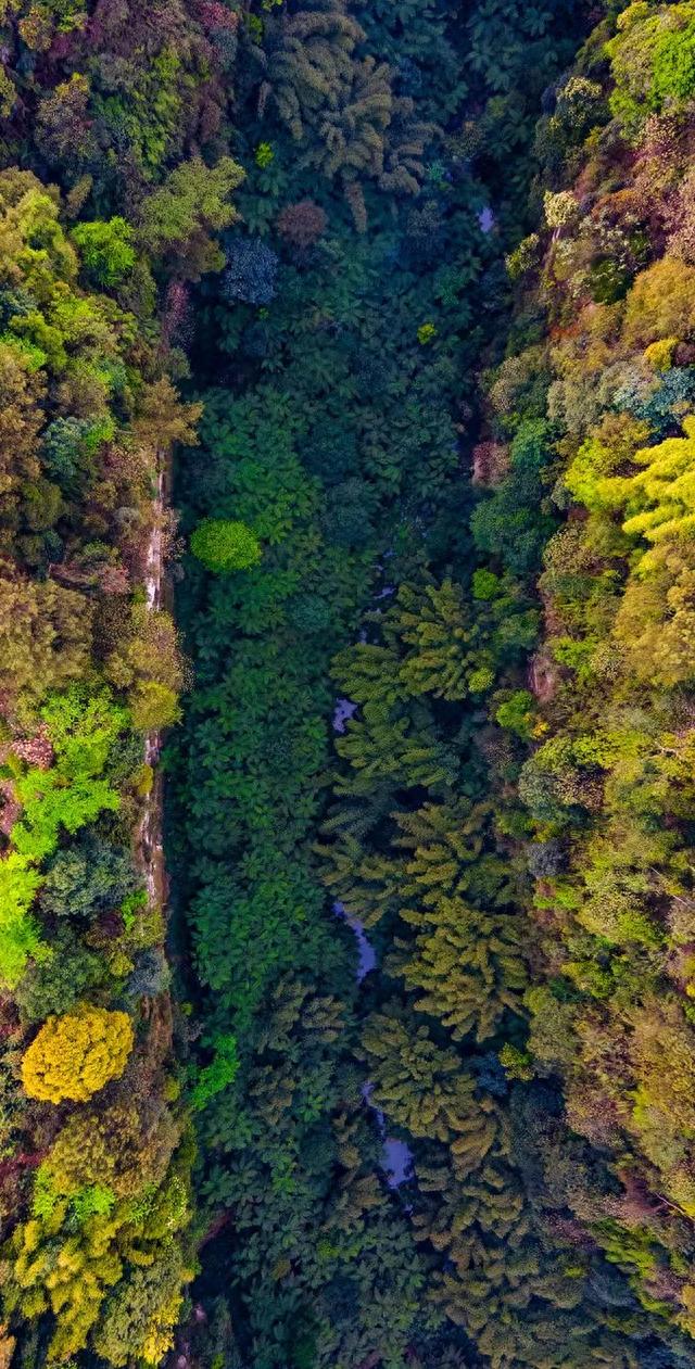 乐山天池景观，来乐山这30个免费景点就够了