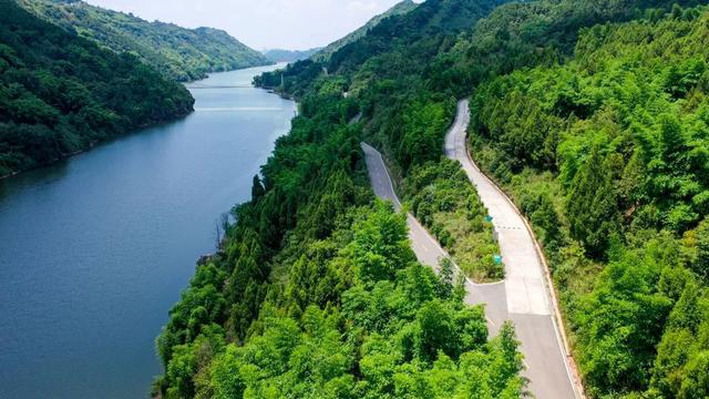 黑木耳可别这么吃，黑木耳咋吃好（徒步旅行or沿线游玩）