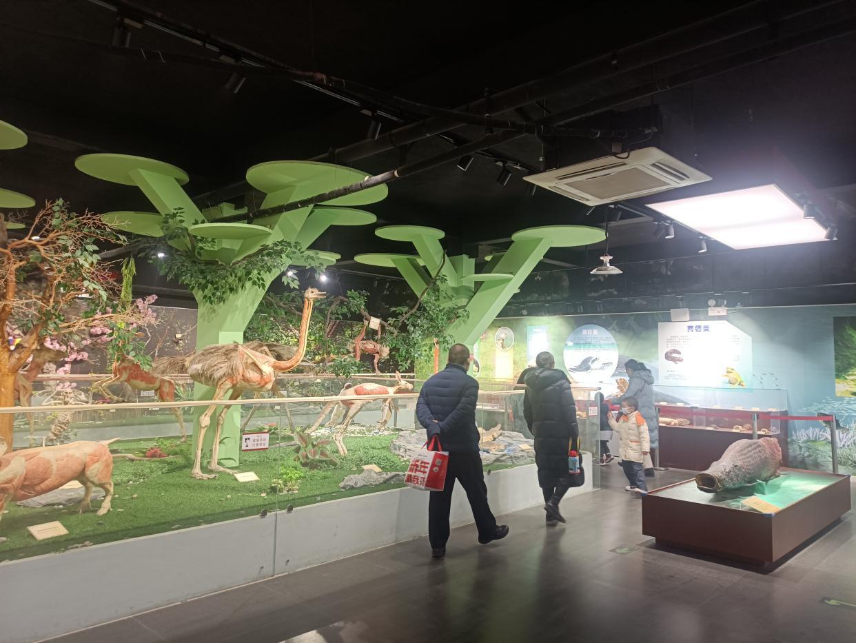 郑州最适合带孩子去旅游的地方(郑州海洋馆团购60元)