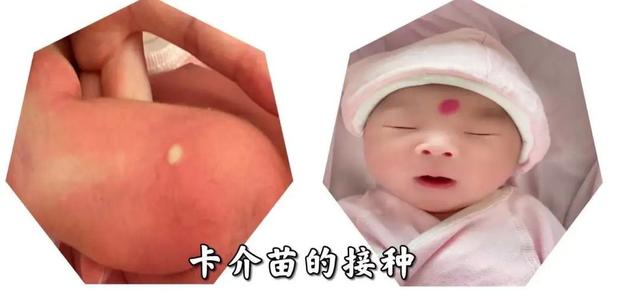 卡介苗的接种时间和意义是什么，卡介苗接种的主要作用是什么?(6分)（宝宝出生后为什么要接种乙肝疫苗和卡介苗）