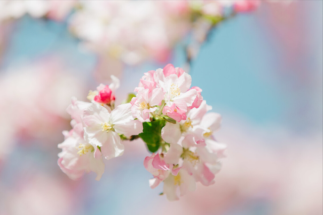 你是我一生的牵挂，唯一的爱你是我一生的牵挂（你是我，一生的牵挂）