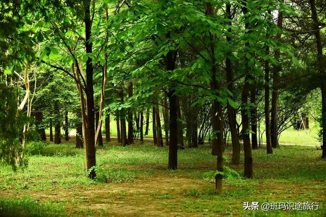 南京什么山最好玩，南京有哪些山值得一去（必游南京这座大山）