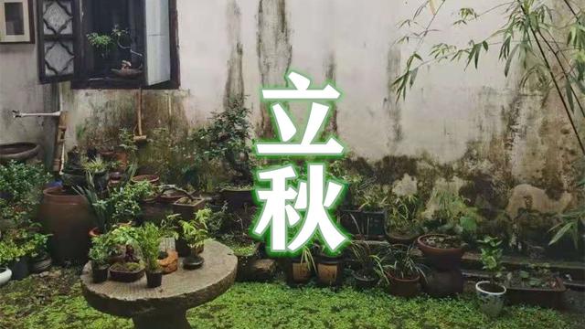 早晚立秋有什么说法，早立秋晚立秋有什么说法（“早立秋冷飕飕）