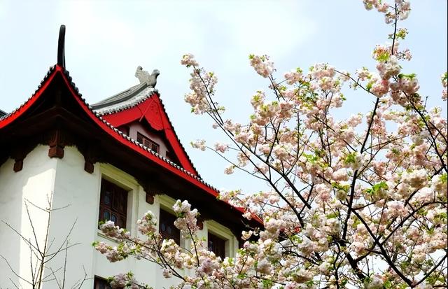 一流本科专业是什么意思，省级一流本科专业是什么意思（“双一流”大学一流本科专业统计）