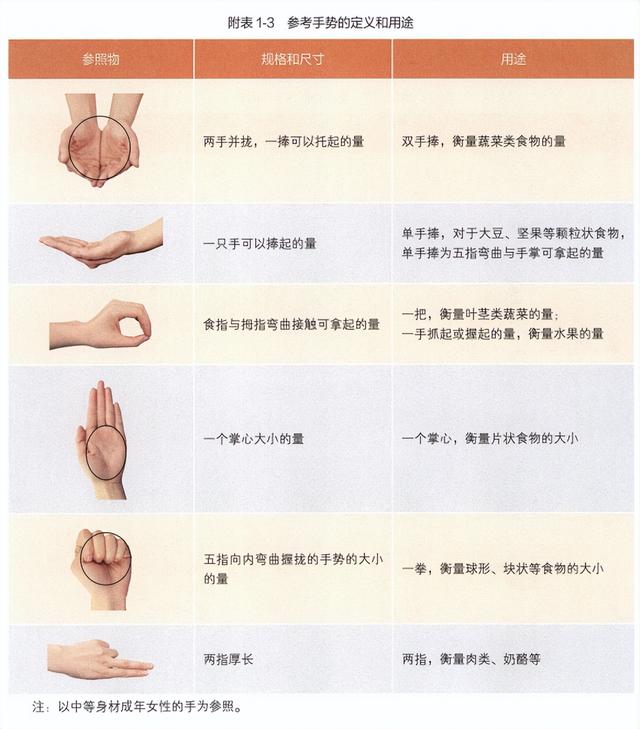 认识食物份量，明明白白吃了多少