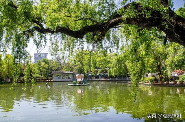 夏天适合到哪里去旅游，夏天去哪里旅游好（5个适宜暑期慢游的大城市）