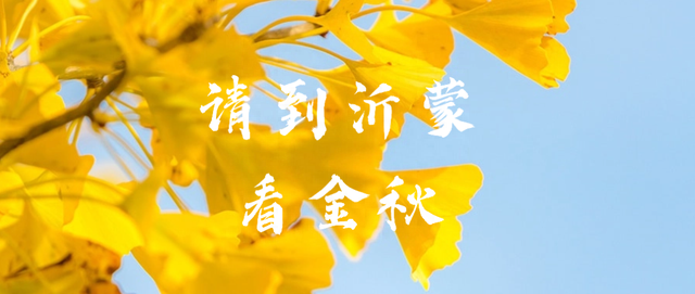 周末微度假 · 恣在游沂蒙 | 沂蒙山深度二日游攻略来袭！
