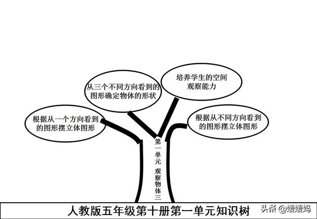 六下数学思维导图，六年级数学下册思维导图全部（人教版五年级数学下册各单元思维导图）