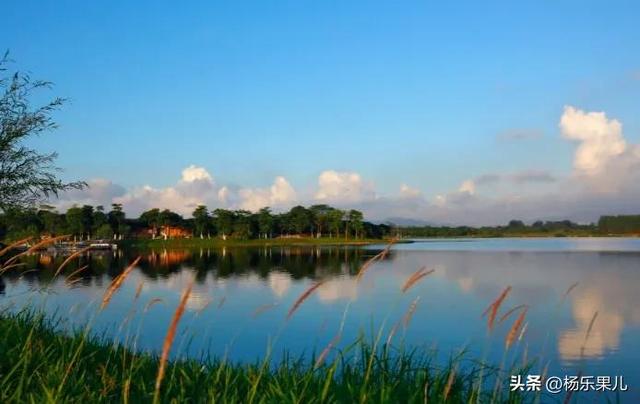 道滘粤晖园介绍，道滘粤晖园图片（广东-东菀十景）