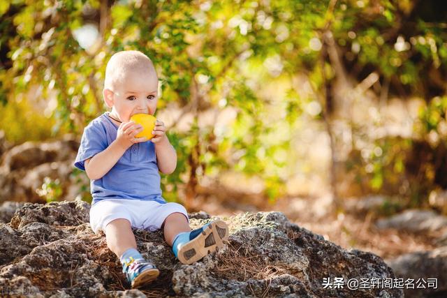 属虎的起什么名字好，属虎的起什么名字好听（吉祥又霸气的男宝宝名字大全）