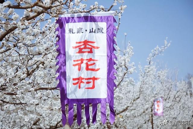 咸阳春天旅游景点大全，一天清明假期，去哪游玩