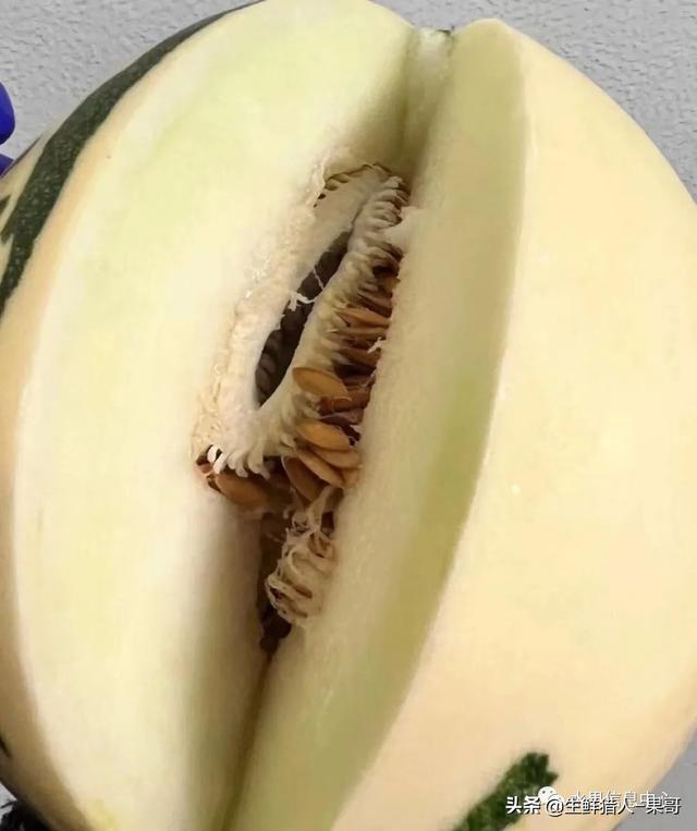 绿色的哈密瓜叫什么，绿色的哈密瓜叫什么名字（哈密瓜、蜜瓜、网纹瓜、香瓜、羊角蜜傻傻分不清）