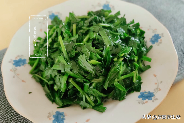 韭菜多少钱一斤，今日全国韭菜批收价格（春天少吃菠菜白菜多吃韭菜）